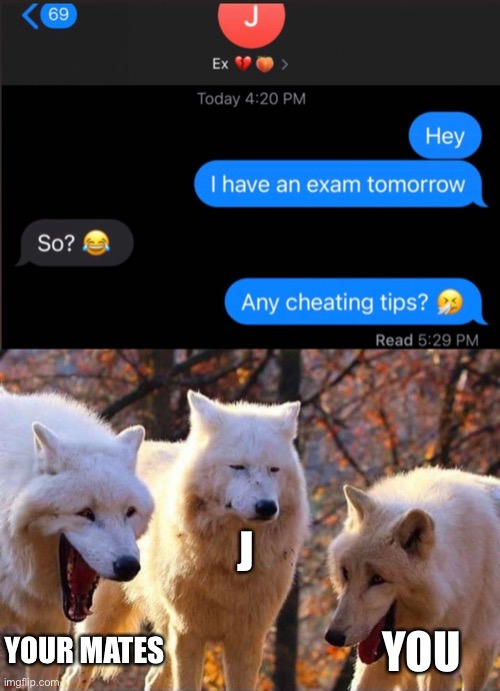 The Ex J | J; YOU; YOUR MATES | image tagged in laughing wolf,ex girlfriend,memes,cheating,69 | made w/ Imgflip meme maker