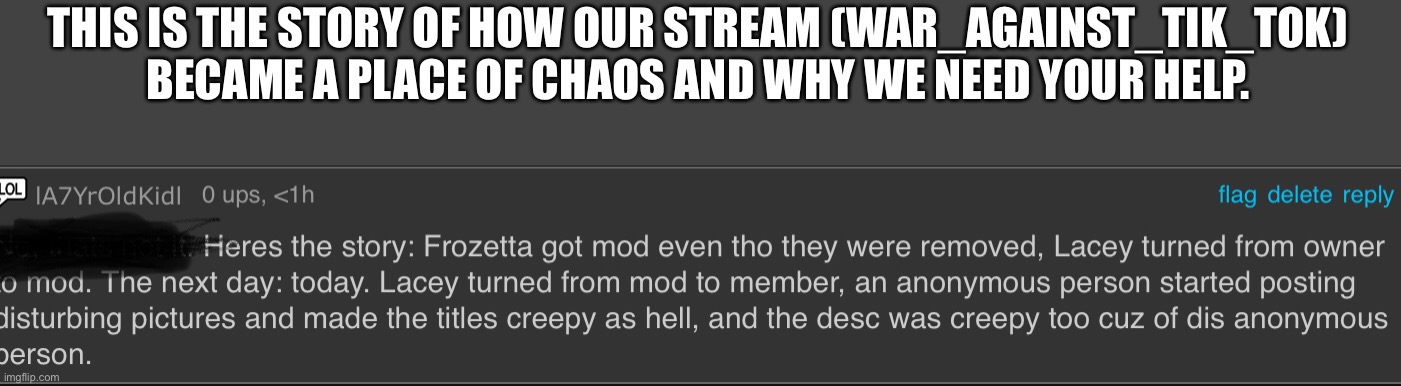 THIS IS THE STORY OF HOW OUR STREAM (WAR_AGAINST_TIK_TOK) BECAME A PLACE OF CHAOS AND WHY WE NEED YOUR HELP. | made w/ Imgflip meme maker