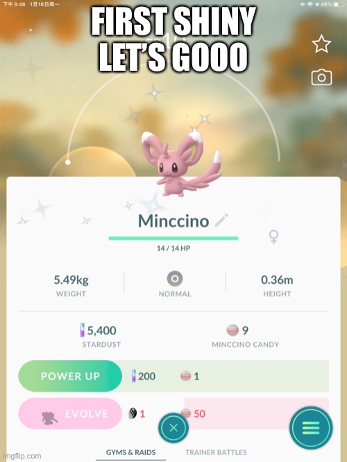 FIRST SHINY LET’S GOOO | made w/ Imgflip meme maker