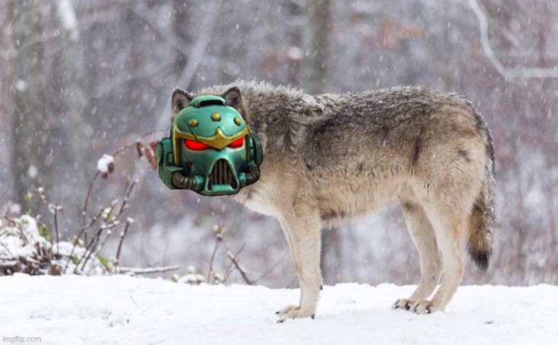 Space Wolf | image tagged in space wolf | made w/ Imgflip meme maker