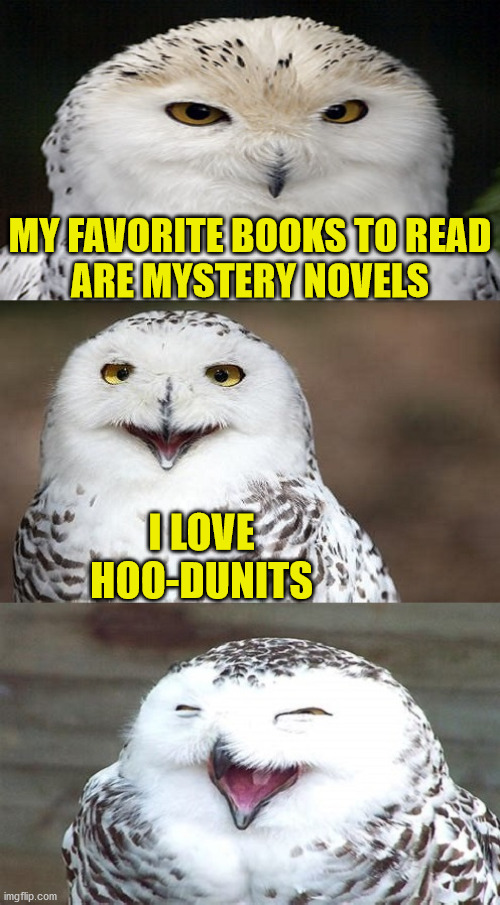 Bad Pun Owl | MY FAVORITE BOOKS TO READ
ARE MYSTERY NOVELS; I LOVE HOO-DUNITS | image tagged in bad pun owl,memes,one does not simply,i see what you did there,books,no no hes got a point | made w/ Imgflip meme maker
