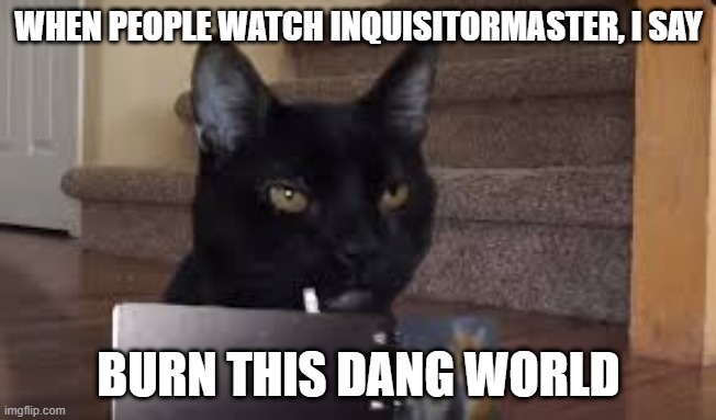 Sylvester Diary | WHEN PEOPLE WATCH INQUISITORMASTER, I SAY; BURN THIS DANG WORLD | image tagged in sylvester diary | made w/ Imgflip meme maker