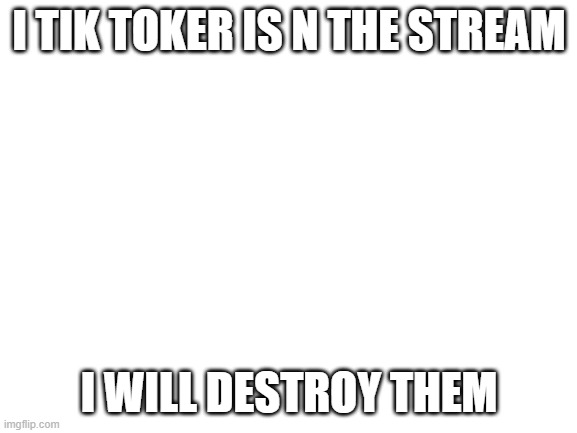 I am an opinion basher | I TIK TOKER IS N THE STREAM; I WILL DESTROY THEM | image tagged in blank white template | made w/ Imgflip meme maker