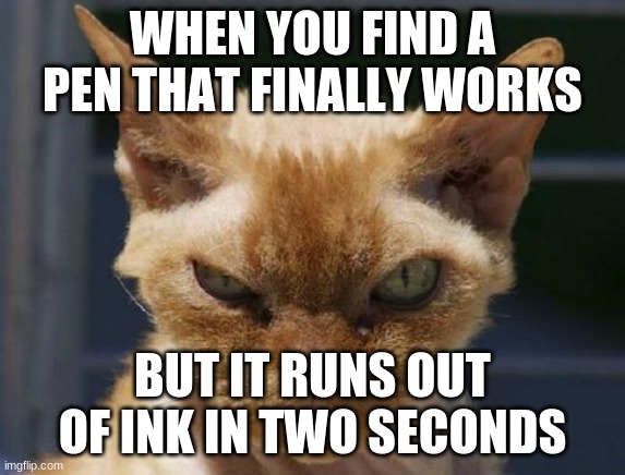 I NEED A PEN RN | WHEN YOU FIND A PEN THAT FINALLY WORKS; BUT IT RUNS OUT OF INK IN TWO SECONDS | image tagged in mad cat,mad,funny memes | made w/ Imgflip meme maker