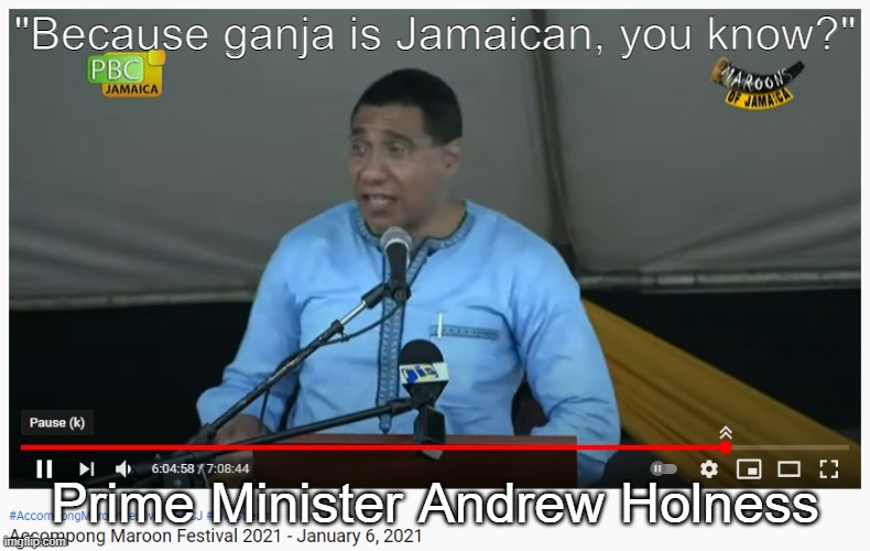 "Because ganja is Jamaican, you know?"; Prime Minister Andrew Holness | made w/ Imgflip meme maker