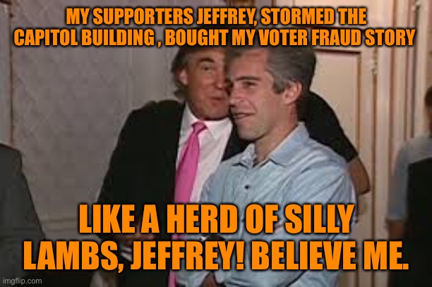 MY SUPPORTERS JEFFREY, STORMED THE CAPITOL BUILDING , BOUGHT MY VOTER FRAUD STORY LIKE A HERD OF SILLY LAMBS, JEFFREY! BELIEVE ME. | made w/ Imgflip meme maker