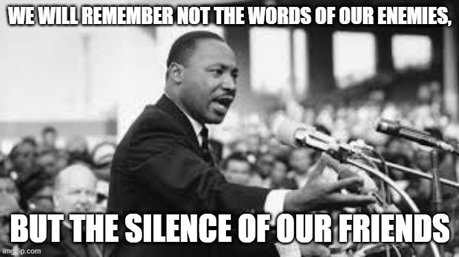 Enemies and Friends | WE WILL REMEMBER NOT THE WORDS OF OUR ENEMIES, BUT THE SILENCE OF OUR FRIENDS | image tagged in mlk jr | made w/ Imgflip meme maker