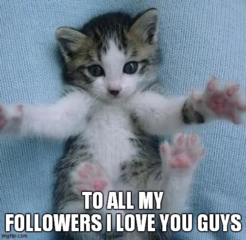 I love you this much  | TO ALL MY FOLLOWERS I LOVE YOU GUYS | image tagged in i love you this much | made w/ Imgflip meme maker