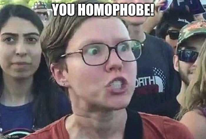 Triggered Liberal | YOU HOMOPHOBE! | image tagged in triggered liberal,memes | made w/ Imgflip meme maker