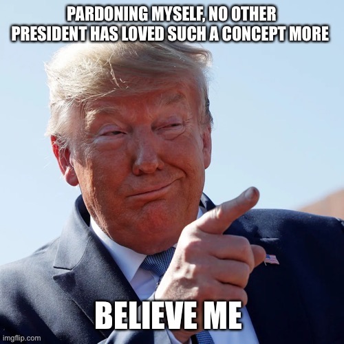 The ME factor | image tagged in donald trump,pardon,myself,voter fraud,lies,narcissist | made w/ Imgflip meme maker
