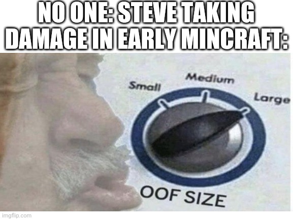Best meme I've ever made | NO ONE: STEVE TAKING DAMAGE IN EARLY MINCRAFT: | image tagged in funny memes | made w/ Imgflip meme maker