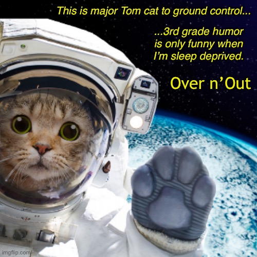 This is major Tom cat to ground control... ...3rd grade humor is only funny when I’m sleep deprived. Over n’Out | made w/ Imgflip meme maker