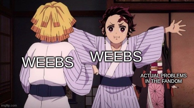 like i always say, its not slander if its facts :D | WEEBS; WEEBS; ACTUAL PROBLEMS IN THE FANDOM | image tagged in tanjro blocking something,anime,weeb | made w/ Imgflip meme maker