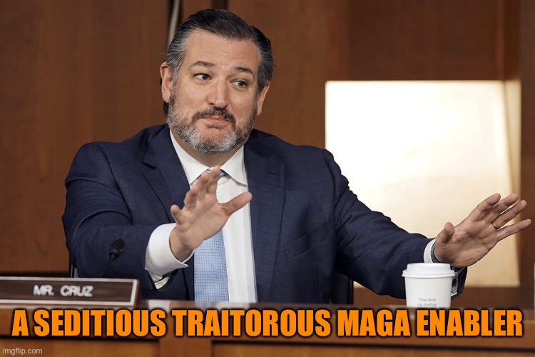 A SEDITIOUS TRAITOROUS MAGA ENABLER | made w/ Imgflip meme maker