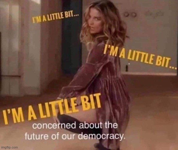 Are we up Schitt's Creek yet? | image tagged in i'm a little bit concerned about the future of our democracy,repost,i love democracy,reposts,democracy,election 2020 | made w/ Imgflip meme maker