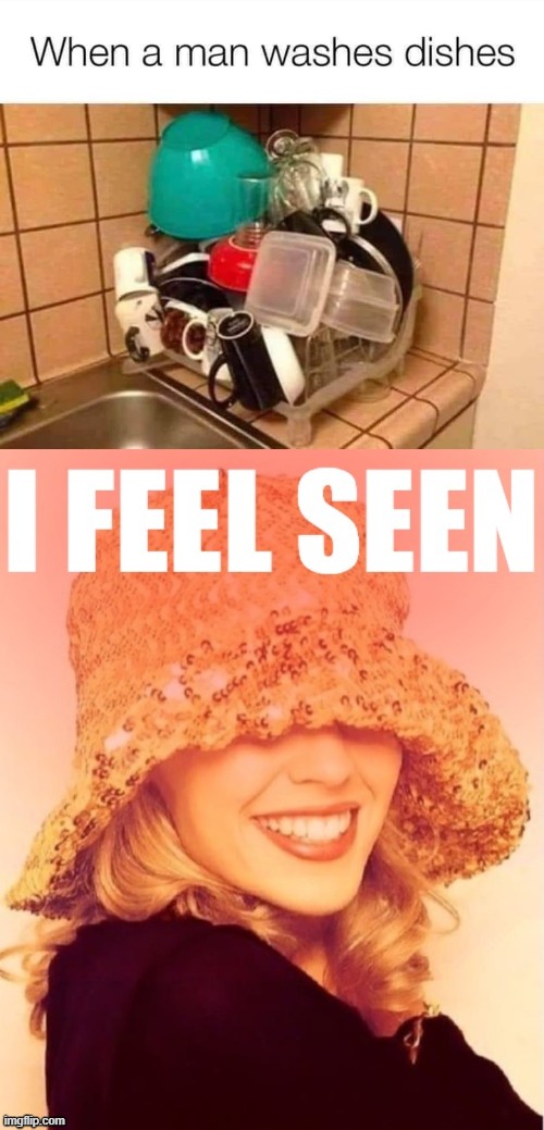 seen | image tagged in when a man washes dishes,kylie i feel seen | made w/ Imgflip meme maker
