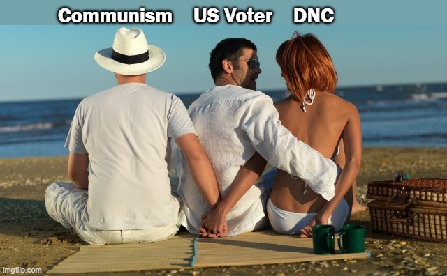 DNC |  Communism    US Voter    DNC | image tagged in cheat,american politics | made w/ Imgflip meme maker