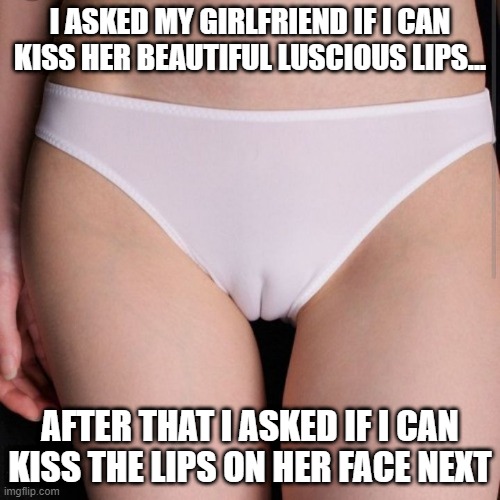 Just a Kiss | I ASKED MY GIRLFRIEND IF I CAN KISS HER BEAUTIFUL LUSCIOUS LIPS... AFTER THAT I ASKED IF I CAN KISS THE LIPS ON HER FACE NEXT | image tagged in camel toe | made w/ Imgflip meme maker