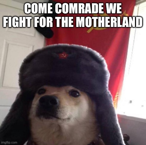 Russian Doge | COME COMRADE WE FIGHT FOR THE MOTHERLAND | image tagged in russian doge | made w/ Imgflip meme maker
