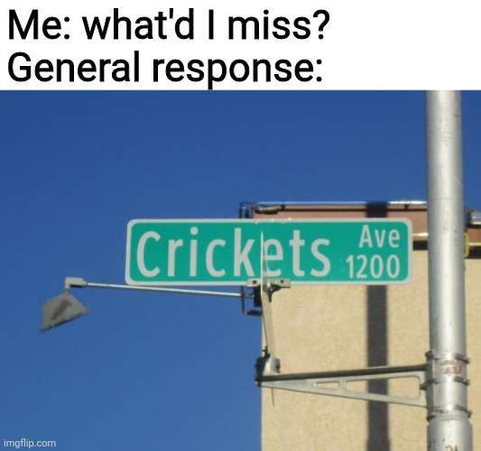 Cricket chirping.mp3 | Me: what'd I miss?
General response: | image tagged in crickets | made w/ Imgflip meme maker