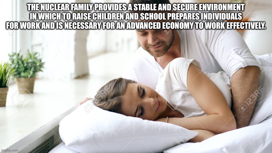 Yeag | THE NUCLEAR FAMILY PROVIDES A STABLE AND SECURE ENVIRONMENT IN WHICH TO RAISE CHILDREN AND SCHOOL PREPARES INDIVIDUALS FOR WORK AND IS NECESSARY FOR AN ADVANCED ECONOMY TO WORK EFFECTIVELY. | image tagged in wake up babe | made w/ Imgflip meme maker