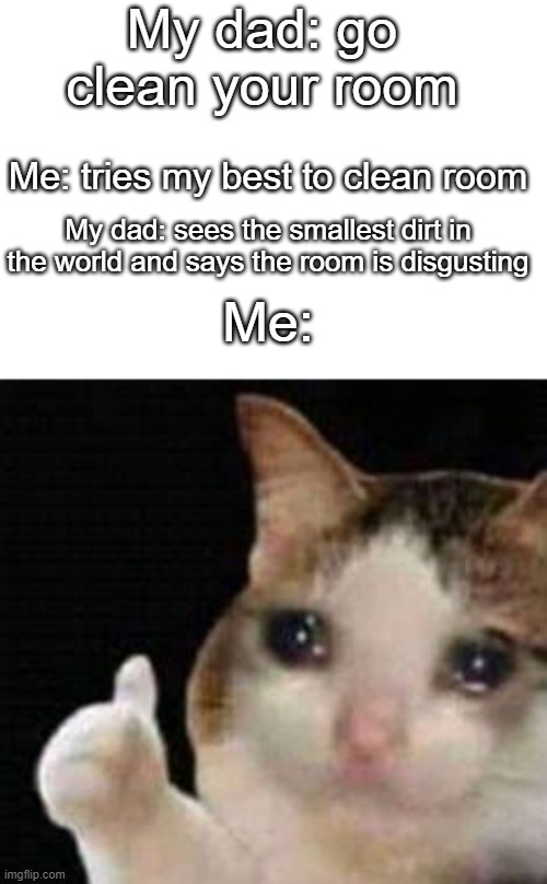 When u actually clean ur room | My dad: go clean your room; Me: tries my best to clean room; My dad: sees the smallest dirt in the world and says the room is disgusting; Me: | image tagged in approved crying cat | made w/ Imgflip meme maker