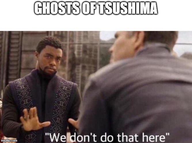 We dont do that here | GHOSTS OF TSUSHIMA | image tagged in we dont do that here | made w/ Imgflip meme maker