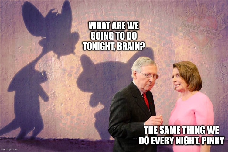 Take Over The World (or America will do) | WHAT ARE WE GOING TO DO TONIGHT, BRAIN? THE SAME THING WE DO EVERY NIGHT, PINKY | image tagged in nancy pelosi,mitch mcconnell,american communist party | made w/ Imgflip meme maker