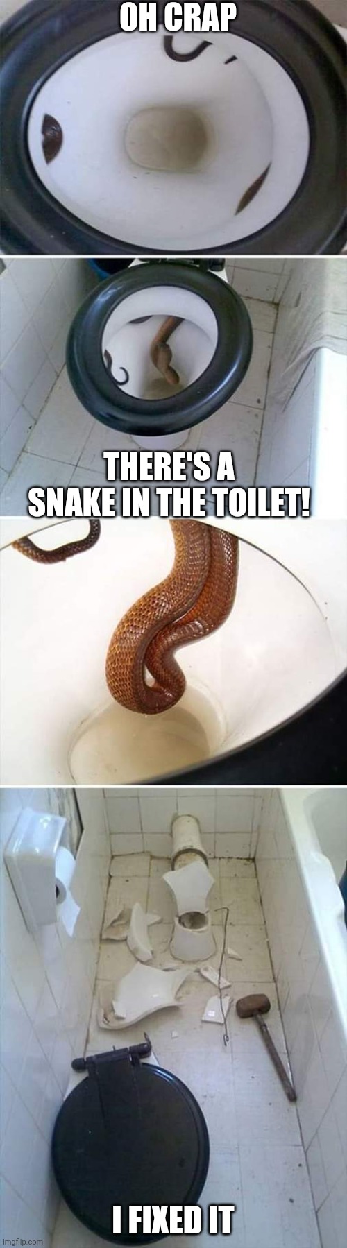 GONNA HAVE TO USE A DIFFERENT BATHROOM | OH CRAP; THERE'S A SNAKE IN THE TOILET! I FIXED IT | image tagged in snake,toilet,wtf | made w/ Imgflip meme maker