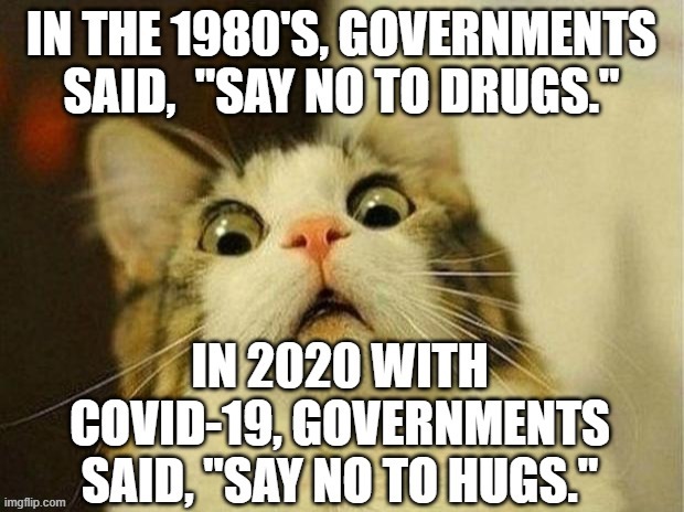 In  the 1980's, it was "Say NO to drugs". In 2020 and 2021, it's "Say NO to HUGS." | image tagged in humor,just say no,covid-19,covid,funny cats,cat | made w/ Imgflip meme maker