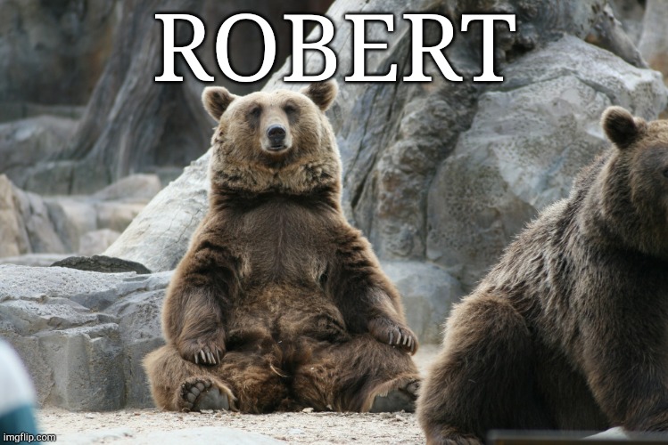 ROBERT | ROBERT | image tagged in robert | made w/ Imgflip meme maker