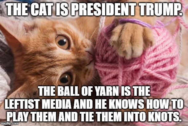 President Trump is the cat and the media are the ball of yarn that he knows how to play and tie into knots. | image tagged in political humor,american politics,president trump,trump,mainstream media,trump derangement syndrome | made w/ Imgflip meme maker