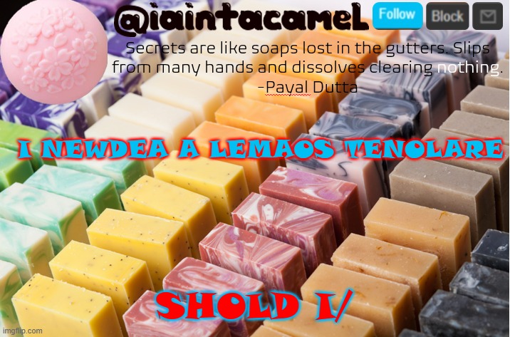 *LEMONS TEMAPLTE | I NEWDEA A LEMAOS TENOLARE; SHOLD I/ | image tagged in iaintacamel | made w/ Imgflip meme maker