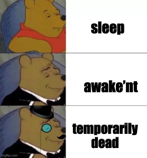 “Temporarily dead” | sleep; awake’nt; temporarily dead | image tagged in fancy pooh,sleep,haha tags go brrrrrr,fig,pig | made w/ Imgflip meme maker