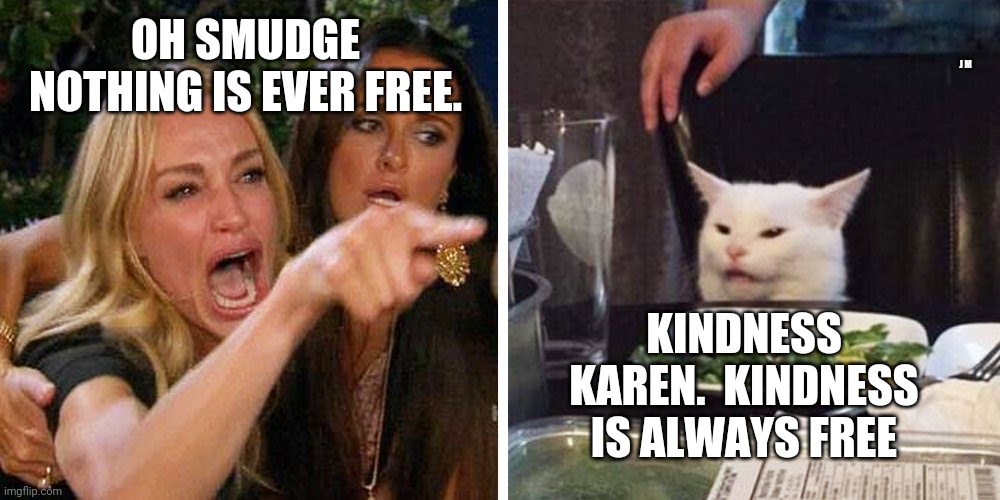 Smudge the cat | J M; OH SMUDGE NOTHING IS EVER FREE. KINDNESS KAREN.  KINDNESS IS ALWAYS FREE | image tagged in smudge the cat | made w/ Imgflip meme maker