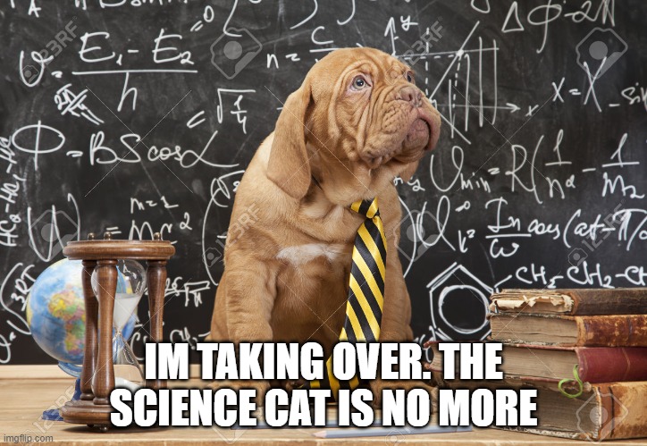 Math Puppy | IM TAKING OVER. THE SCIENCE CAT IS NO MORE | image tagged in math puppy | made w/ Imgflip meme maker