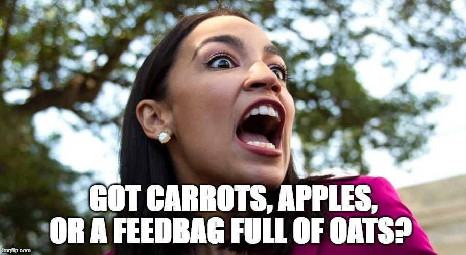 Democrat congresswoman Alexandria Ocasio-Cortez looking crazy and silly as usual. | image tagged in politics,american politics,political humor,humor,aoc,alexandria ocasio-cortez | made w/ Imgflip meme maker