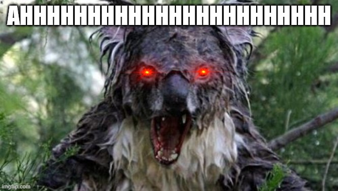 Angry Koala Meme | AHHHHHHHHHHHHHHHHHHHHHHH | image tagged in memes,angry koala | made w/ Imgflip meme maker