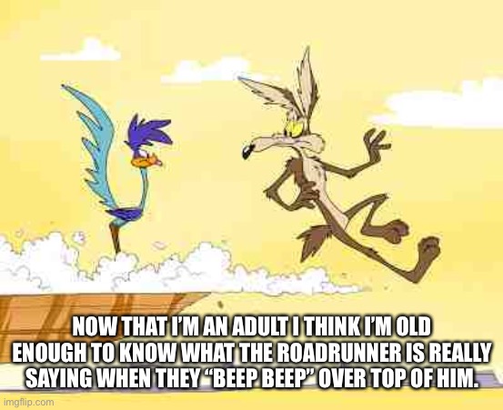 Meep! Meep! | NOW THAT I’M AN ADULT I THINK I’M OLD ENOUGH TO KNOW WHAT THE ROADRUNNER IS REALLY SAYING WHEN THEY “BEEP BEEP” OVER TOP OF HIM. | image tagged in wile e coyote roadrunner | made w/ Imgflip meme maker