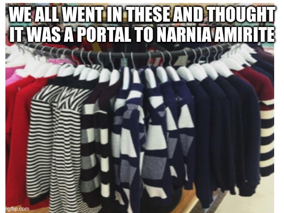 Relatable? Anyone | WE ALL WENT IN THESE AND THOUGHT IT WAS A PORTAL TO NARNIA AMIRITE | image tagged in narnia,shaped cloth,metal | made w/ Imgflip meme maker