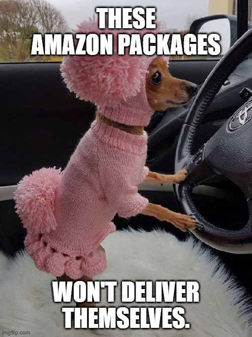 Cute and funny dog meme - Little dog driving in pink outfit, "These Amazon packages won't deliver themselves." | THESE AMAZON PACKAGES; WON'T DELIVER THEMSELVES. | image tagged in humor,cute dog,funny animals,funny meme,amazon,delivery | made w/ Imgflip meme maker