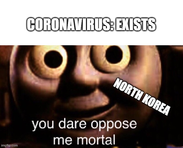 CORONAVIRUS: EXISTS; NORTH KOREA | image tagged in blank white template,you dare oppose me mortal | made w/ Imgflip meme maker