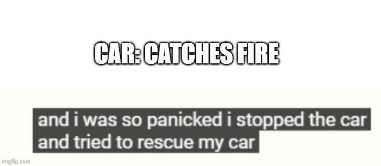 And I was so panicked I stopped the car and tried to rescue my car | CAR: CATCHES FIRE | image tagged in blank white template | made w/ Imgflip meme maker