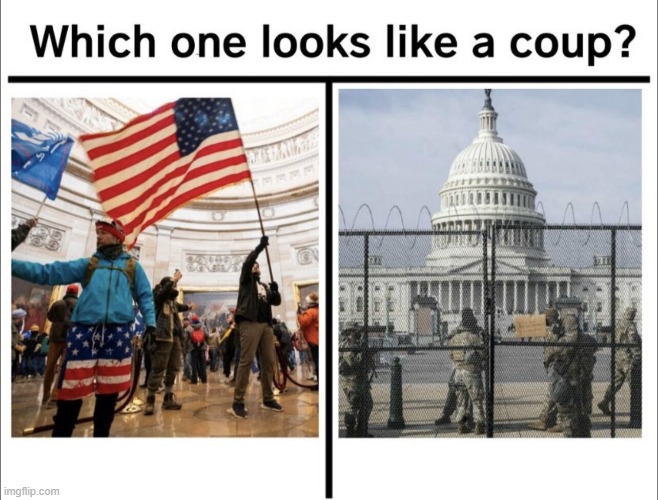 coup in the capitol | image tagged in coup | made w/ Imgflip meme maker