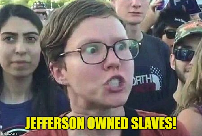 Triggered Liberal | JEFFERSON OWNED SLAVES! | image tagged in triggered liberal | made w/ Imgflip meme maker