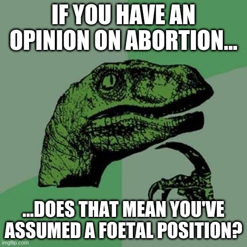 Play on words?  Oh, I don't play... | IF YOU HAVE AN OPINION ON ABORTION... ...DOES THAT MEAN YOU'VE ASSUMED A FOETAL POSITION? | image tagged in memes,philosoraptor | made w/ Imgflip meme maker