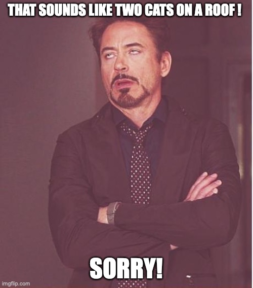 Face You Make Robert Downey Jr Meme | THAT SOUNDS LIKE TWO CATS ON A ROOF ! SORRY! | image tagged in memes,face you make robert downey jr | made w/ Imgflip meme maker