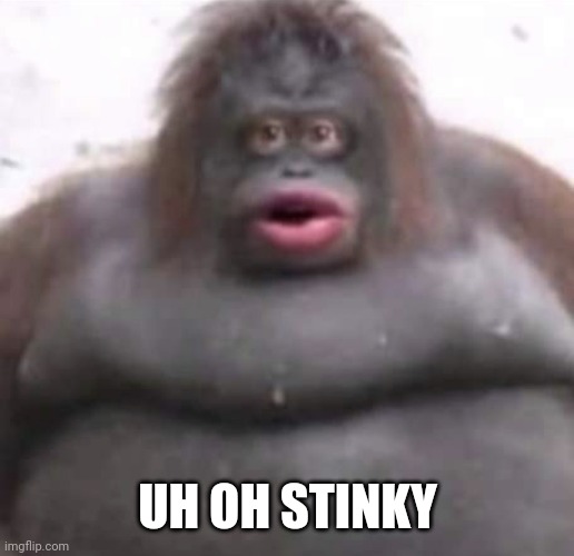 Le Monke | UH OH STINKY | image tagged in le monke | made w/ Imgflip meme maker