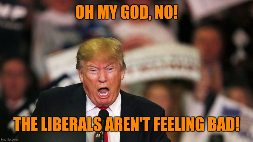 Trump yelling | OH MY GOD, NO! THE LIBERALS AREN'T FEELING BAD! | image tagged in trump yelling | made w/ Imgflip meme maker