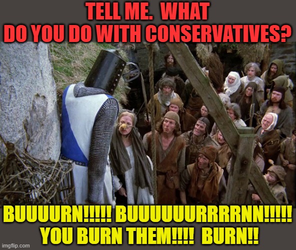 Burn the witch | TELL ME.  WHAT DO YOU DO WITH CONSERVATIVES? BUUUURN!!!!! BUUUUUURRRRNN!!!!!  YOU BURN THEM!!!!  BURN!! | image tagged in burn the witch | made w/ Imgflip meme maker
